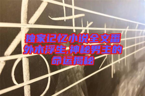 獨(dú)家記憶小說全文番外木浮生,神秘男主的命運(yùn)揭秘