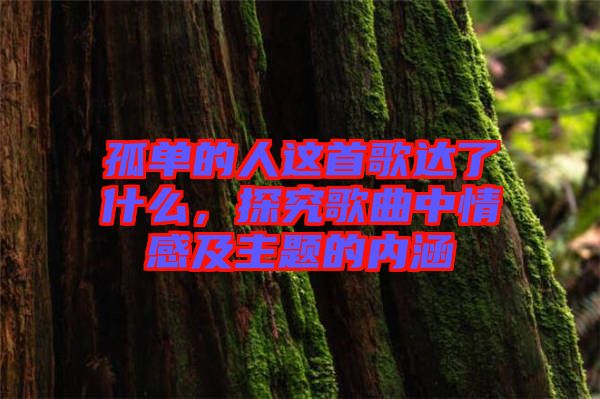 孤單的人這首歌達(dá)了什么，探究歌曲中情感及主題的內(nèi)涵