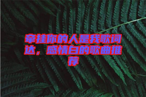 牽掛你的人是我歌詞達，感情白的歌曲推薦