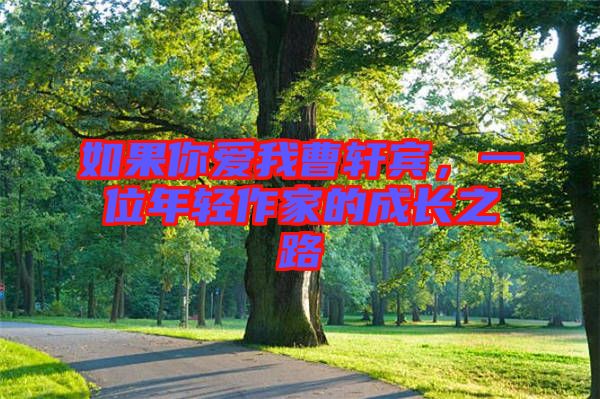 如果你愛我曹軒賓，一位年輕作家的成長之路