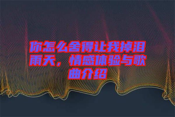 你怎么舍得讓我掉淚雨天，情感體驗與歌曲介紹