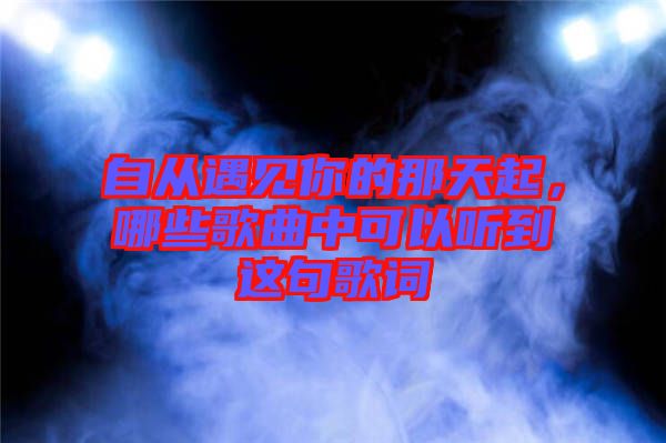 自從遇見你的那天起，哪些歌曲中可以聽到這句歌詞