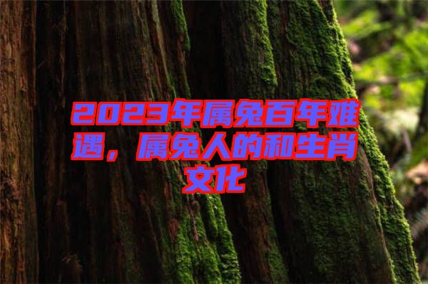 2023年屬兔百年難遇，屬兔人的和生肖文化