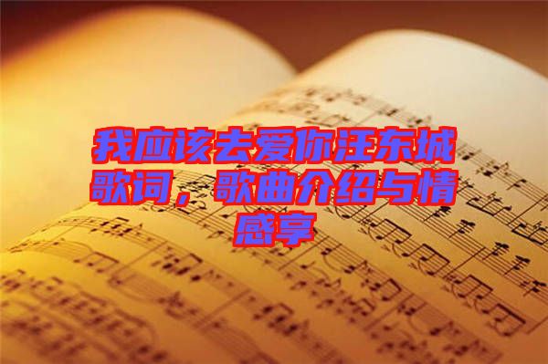 我應該去愛你汪東城歌詞，歌曲介紹與情感享