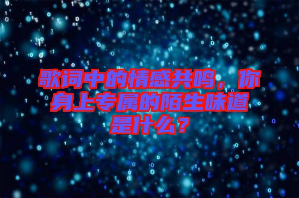 歌詞中的情感共鳴，你身上專屬的陌生味道是什么？