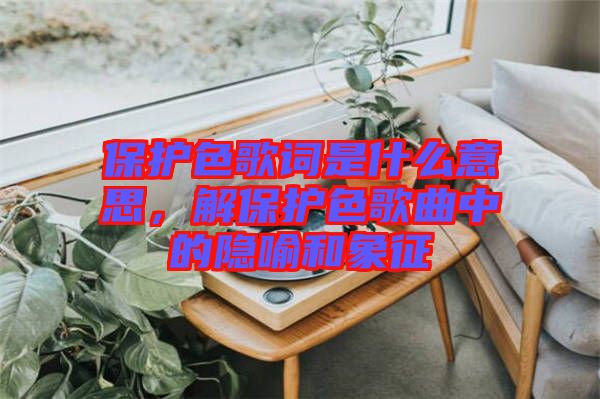 保護色歌詞是什么意思，解保護色歌曲中的隱喻和象征