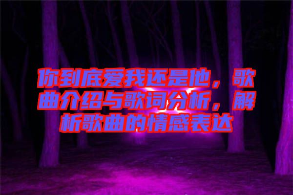 你到底愛我還是他，歌曲介紹與歌詞分析，解析歌曲的情感表達