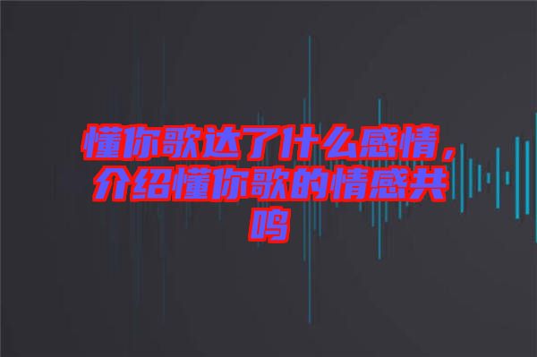 懂你歌達(dá)了什么感情，介紹懂你歌的情感共鳴