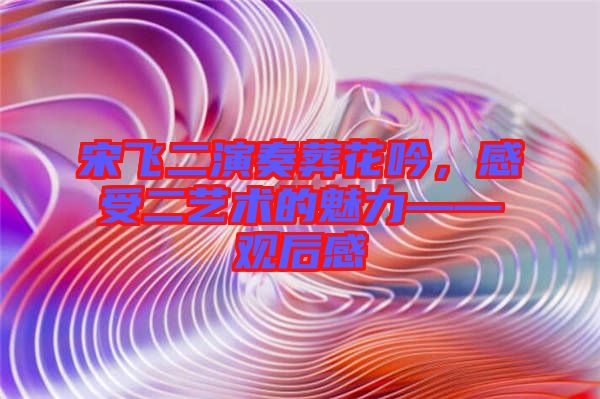 宋飛二演奏葬花吟，感受二藝術的魅力——觀后感