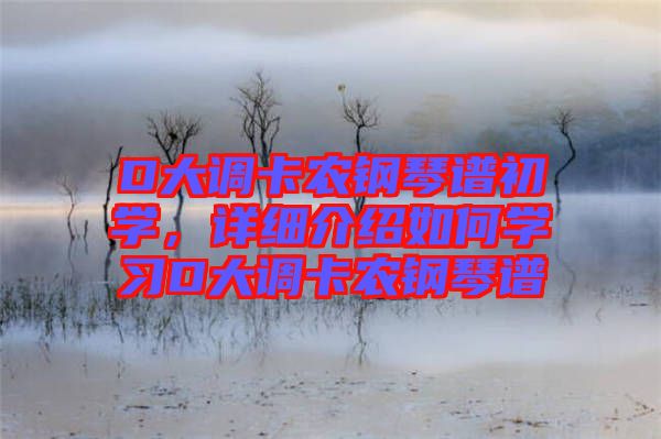 D大調(diào)卡農(nóng)鋼琴譜初學(xué)，詳細(xì)介紹如何學(xué)習(xí)D大調(diào)卡農(nóng)鋼琴譜