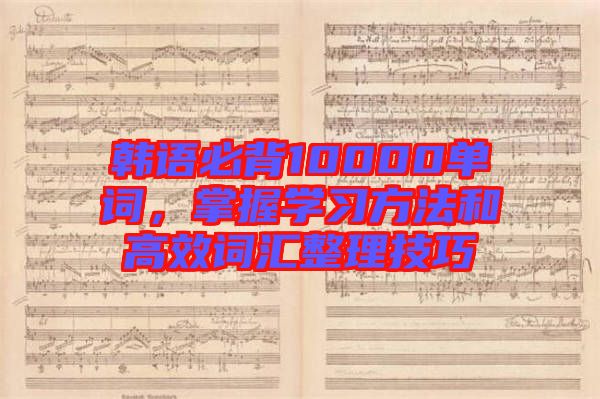 韓語必背10000單詞，掌握學(xué)習(xí)方法和高效詞匯整理技巧