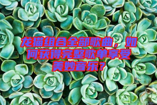 龍貓組合全部歌曲，如何獲得完整歌單享受美妙音樂？