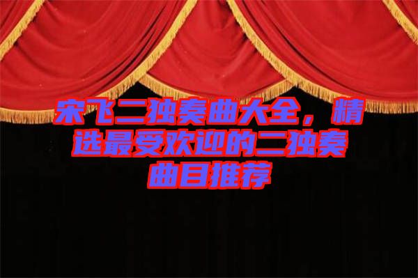 宋飛二獨奏曲大全，精選最受歡迎的二獨奏曲目推薦