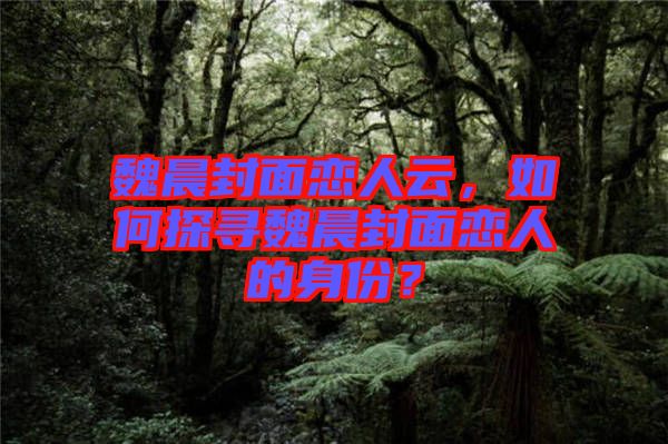 魏晨封面戀人云，如何探尋魏晨封面戀人的身份？