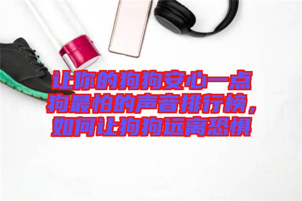 讓你的狗狗安心一點狗最怕的聲音排行榜，如何讓狗狗遠(yuǎn)離恐懼