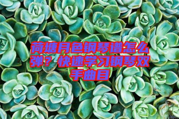 荷塘月色鋼琴譜怎么彈？快速學(xué)習(xí)鋼琴雙手曲目