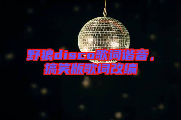 野狼disco歌詞諧音，搞笑版歌詞改編