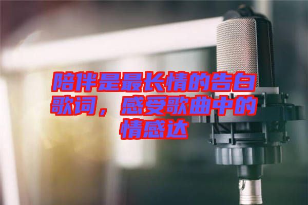 陪伴是最長情的告白歌詞，感受歌曲中的情感達